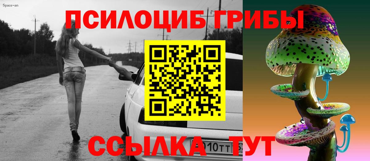 Псилоцибиновые грибы прущие грибы Кимры